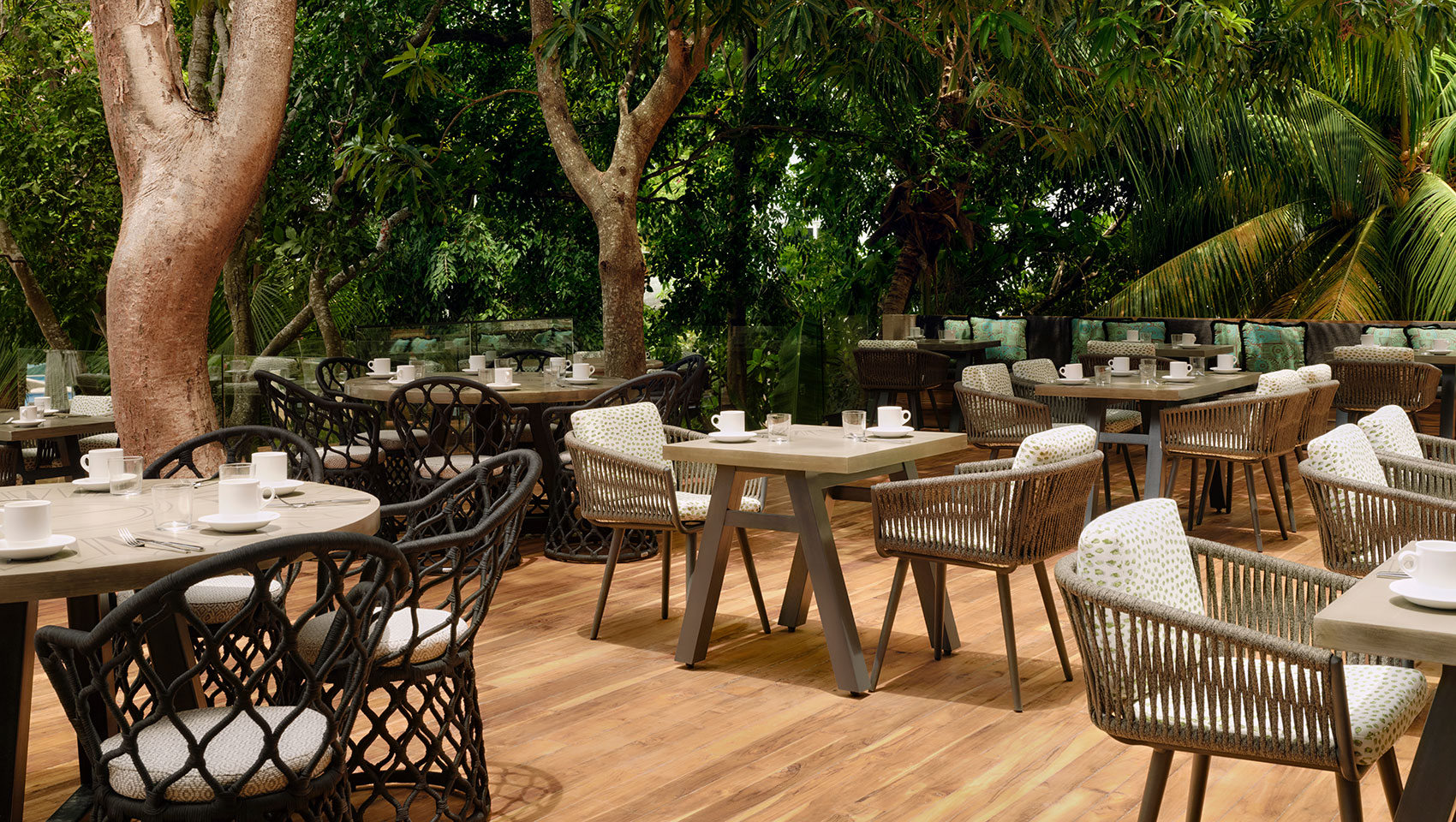 Patio dining at Alera surrounded by trees
