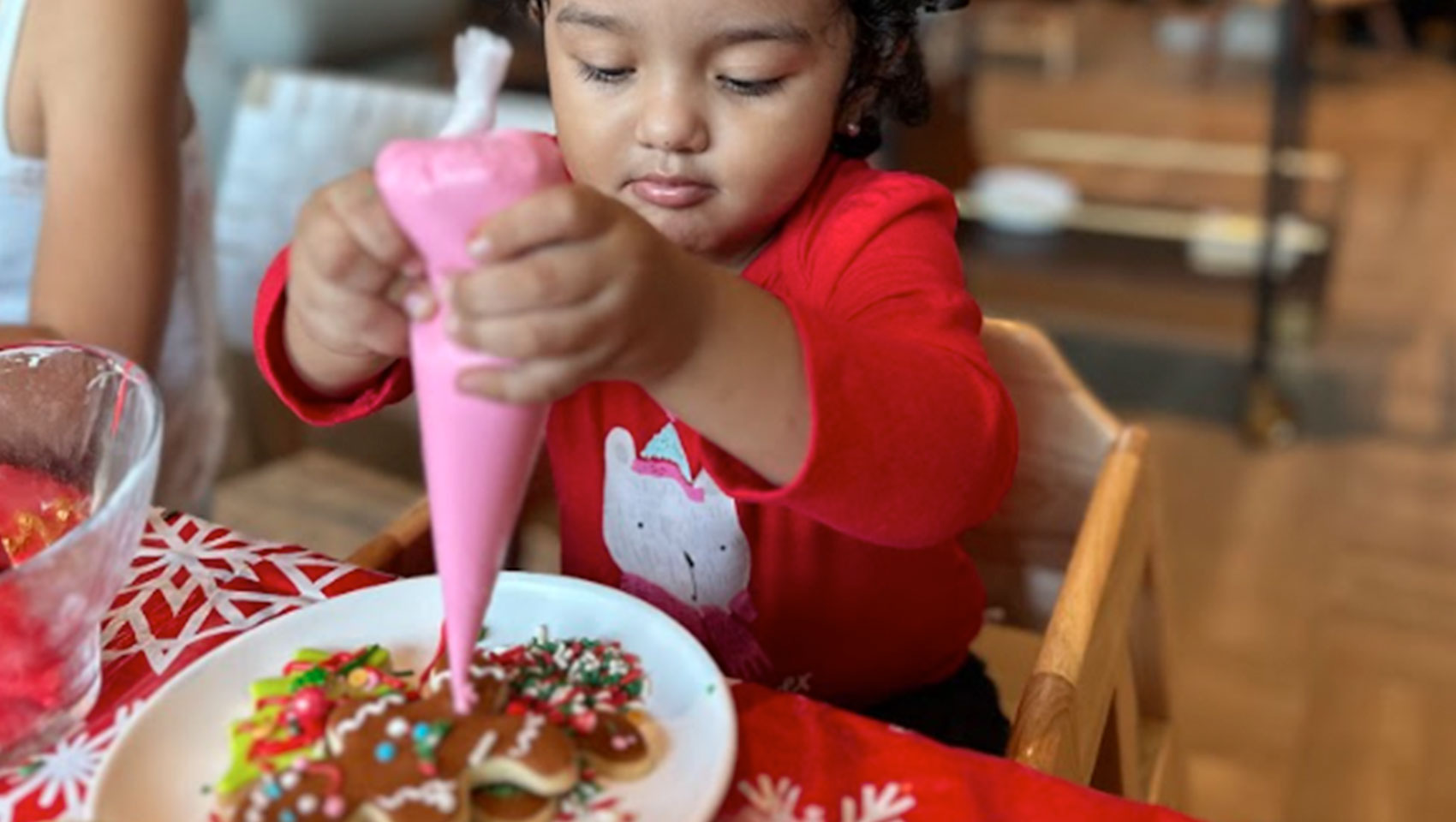 Holiday Cookie Decorating