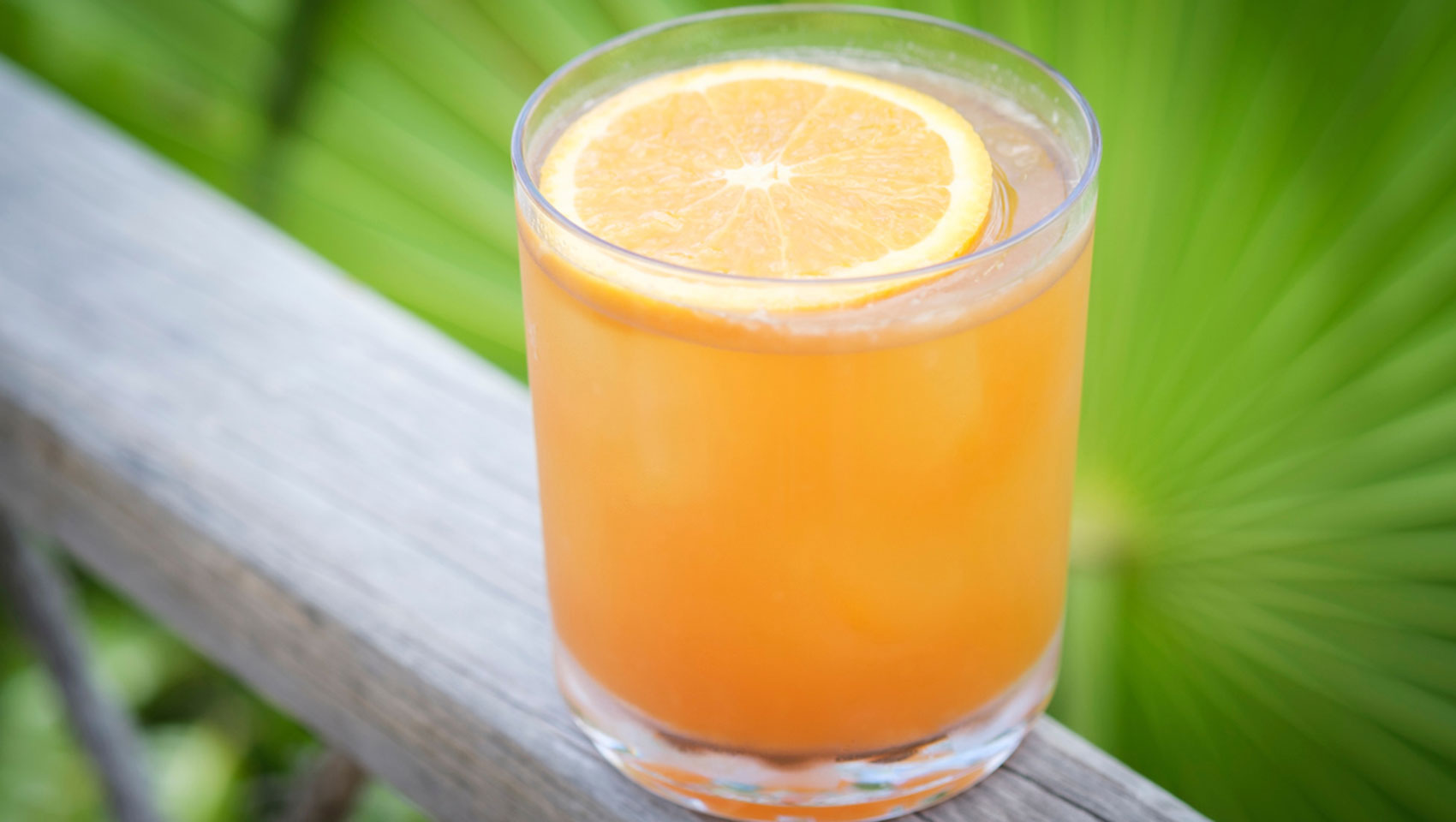 the drop off orange cocktail