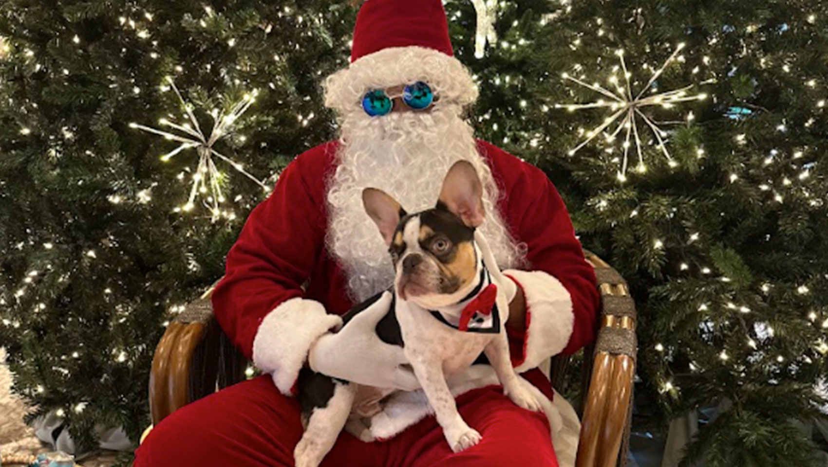 Photos with Santa