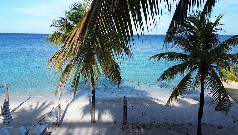 Beach View