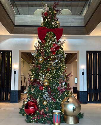 Christmas Tree at Grand Roatan