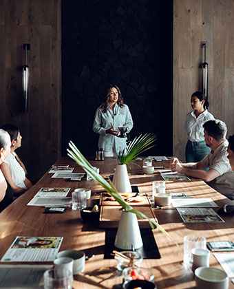 Woman speaking to a group at a long table