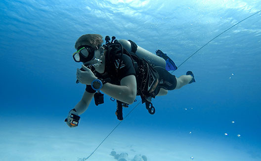 Scuba Diver in water