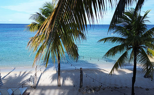 Beach View